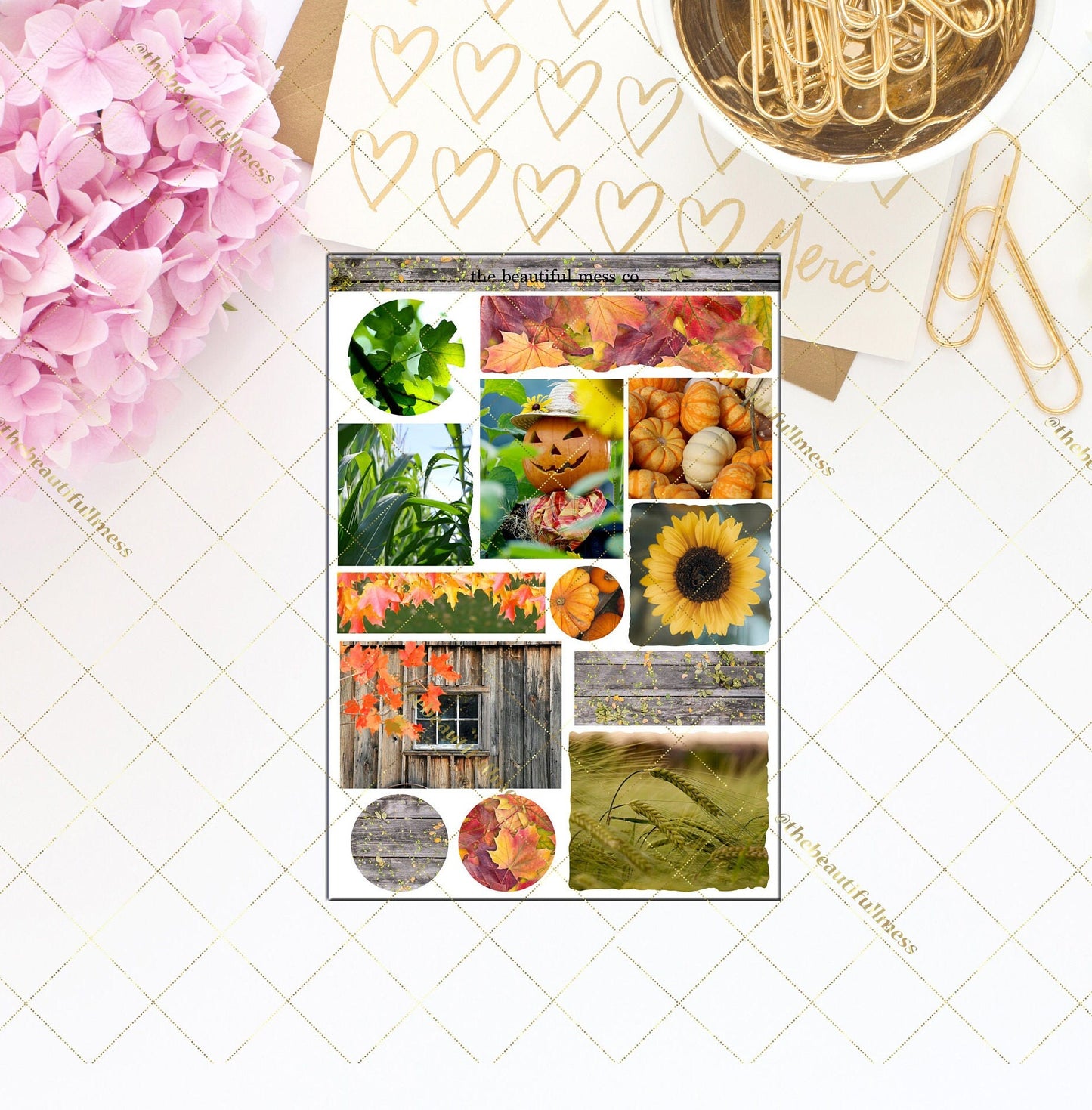 The Scarecrow Journaling