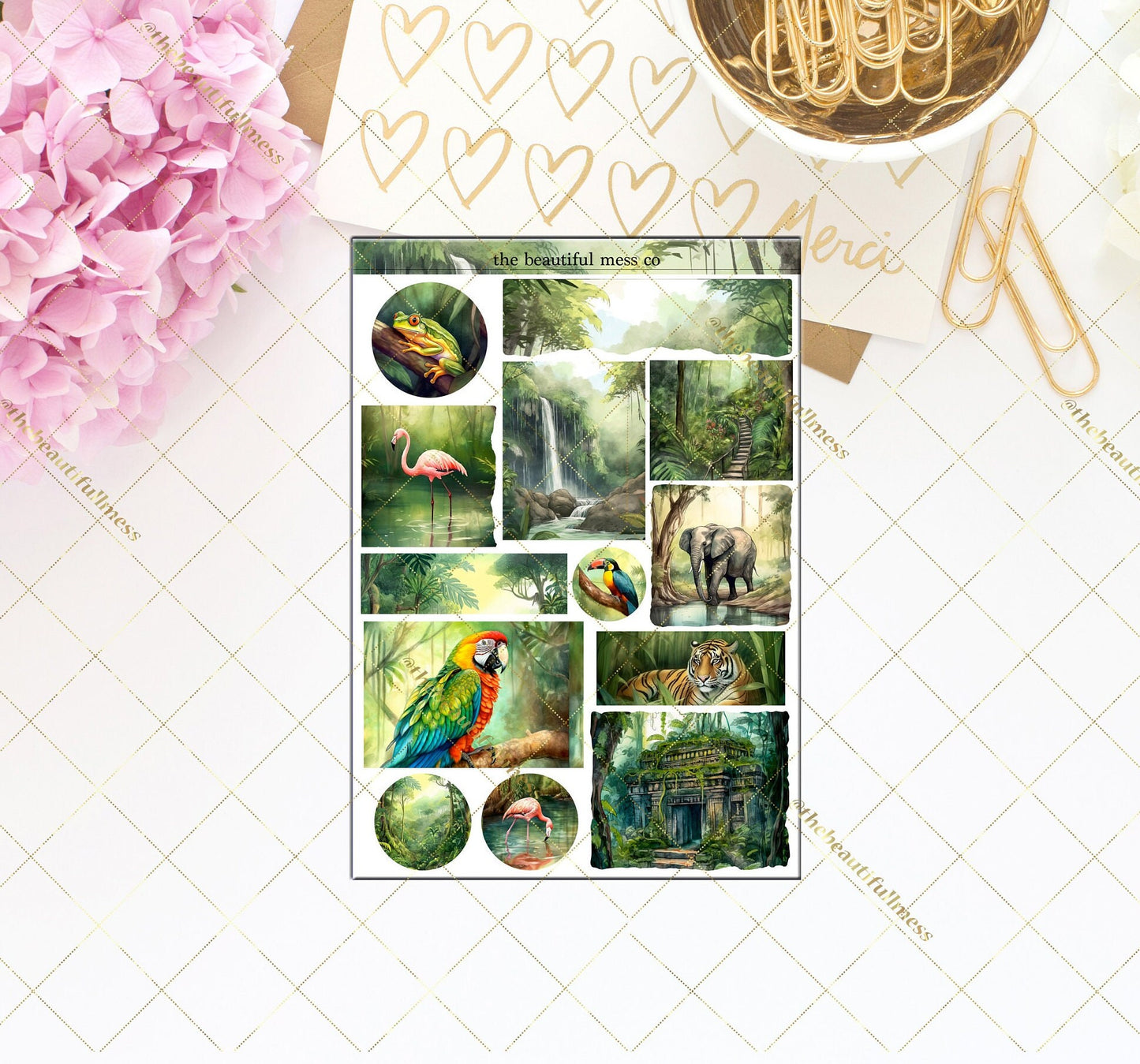 The Amazon Journaling