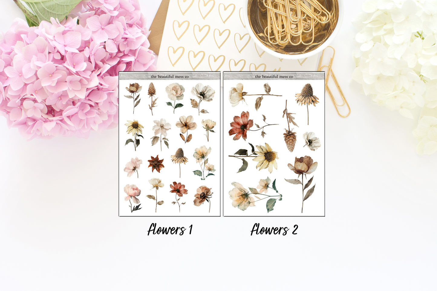 Dried Flowers Deco 1