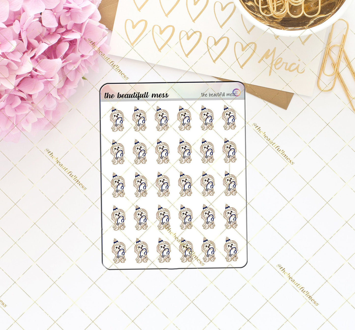 Lily Dr. Appointment Reminder Stickers