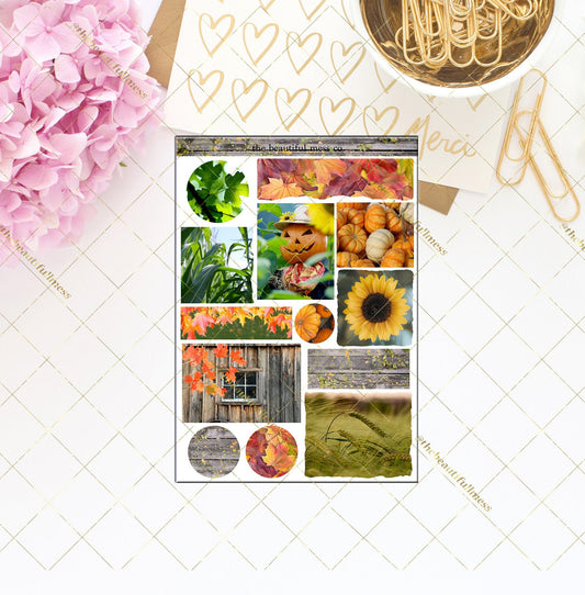 The Scarecrow Journaling