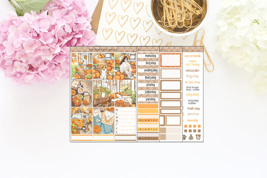 Amber Dream Weekly Kit