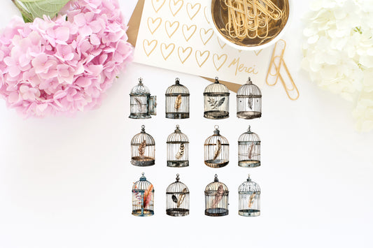 Bird Cages Sticker/die cut