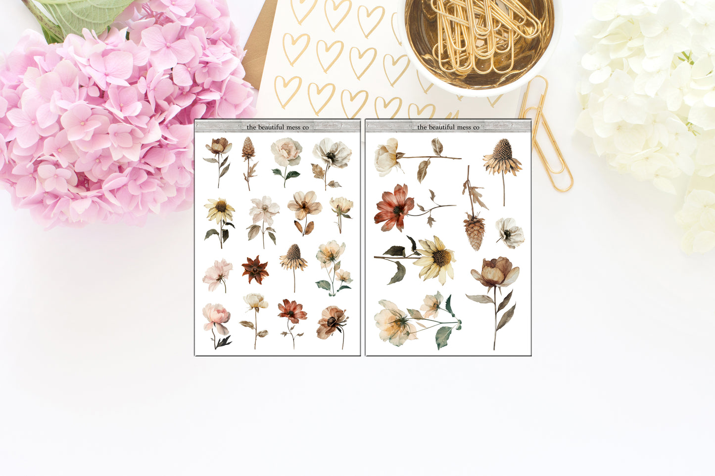 Dried Flowers Deco 1