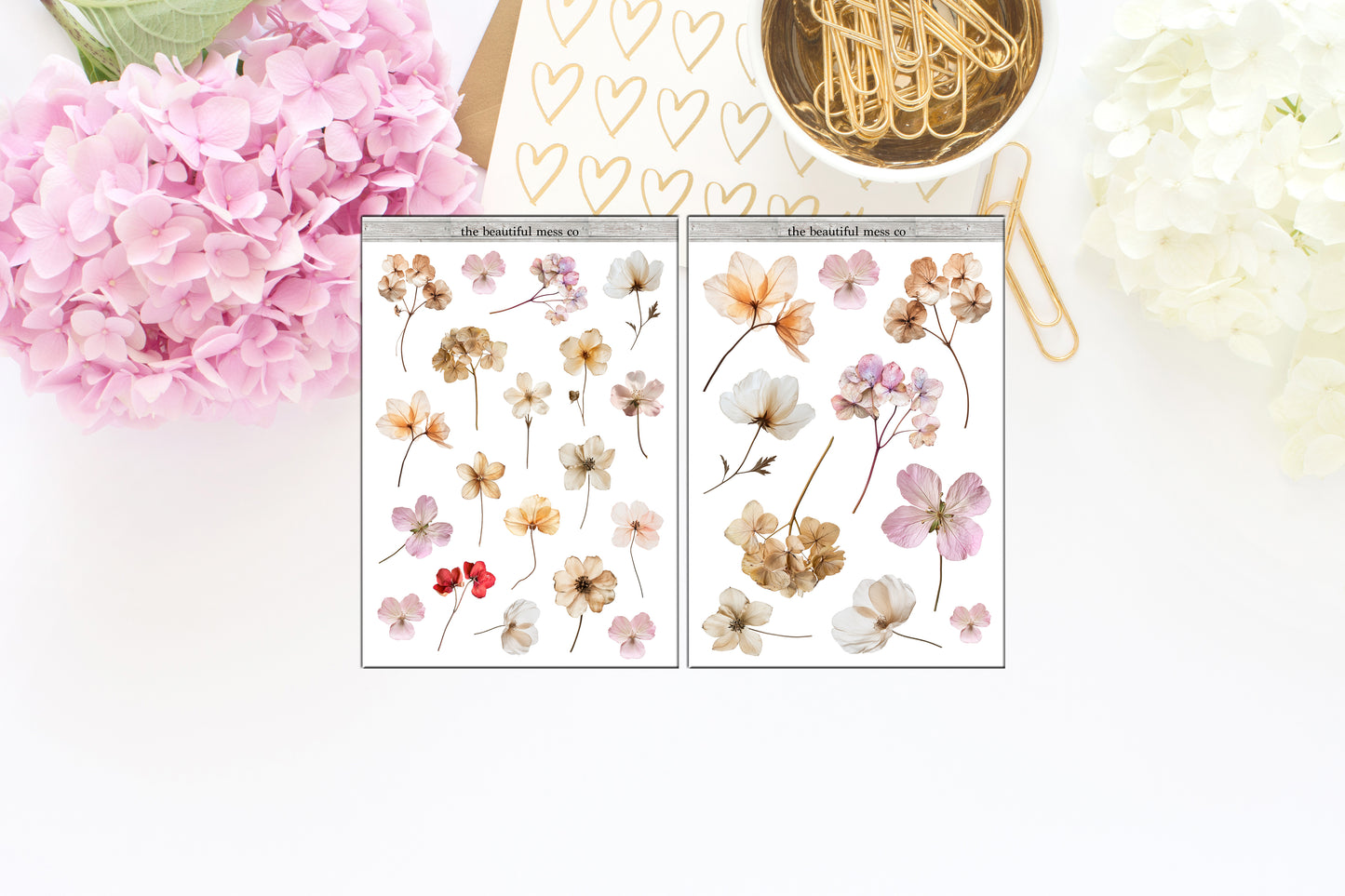 Dried Flowers Deco 2
