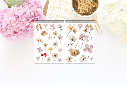 Dried Flowers Deco 2