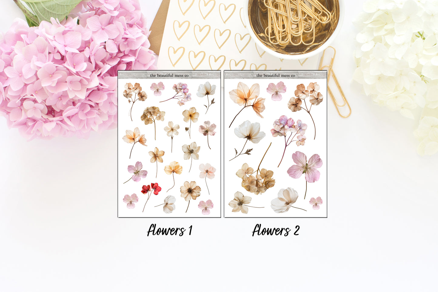 Dried Flowers Deco 2